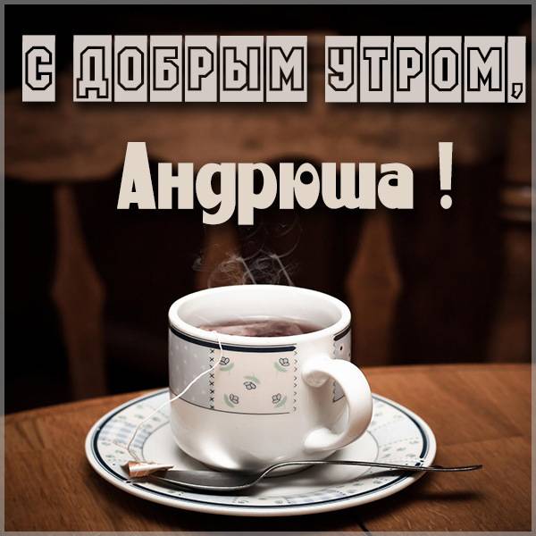 Андрюша! Доброе утро! Милый щенок йоркширского терьера