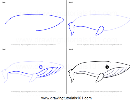 Кит рисунок для детей поэтапно