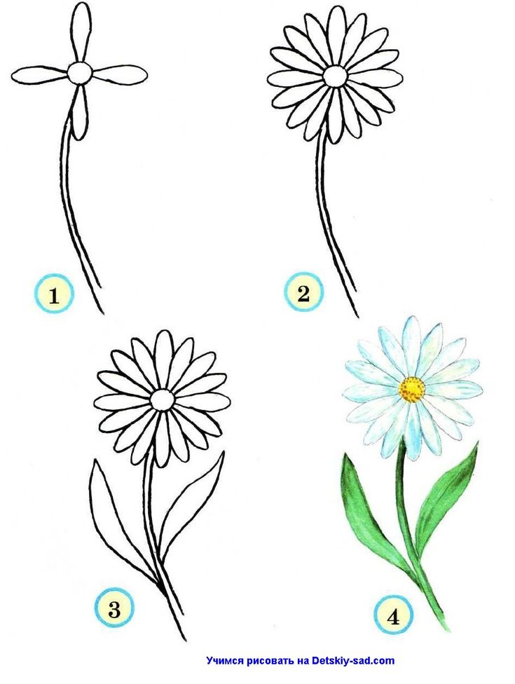 Рисуем ромашки, васильки и любовь. Когда рисуешь цветы, то