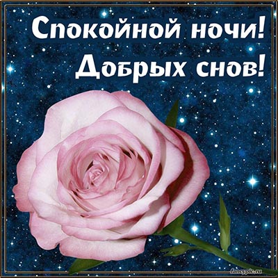 💗 Открытка, гиф, анимация, спокойной ночи, сладкой ночи