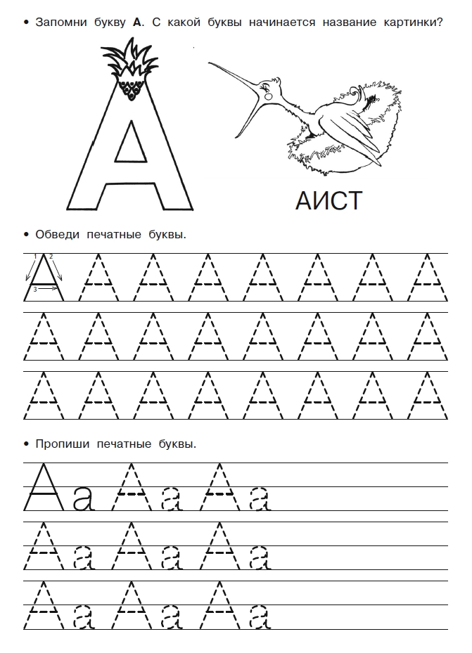 Раскраски буква, Раскраска Учимся прописным буквам прописи буквы.