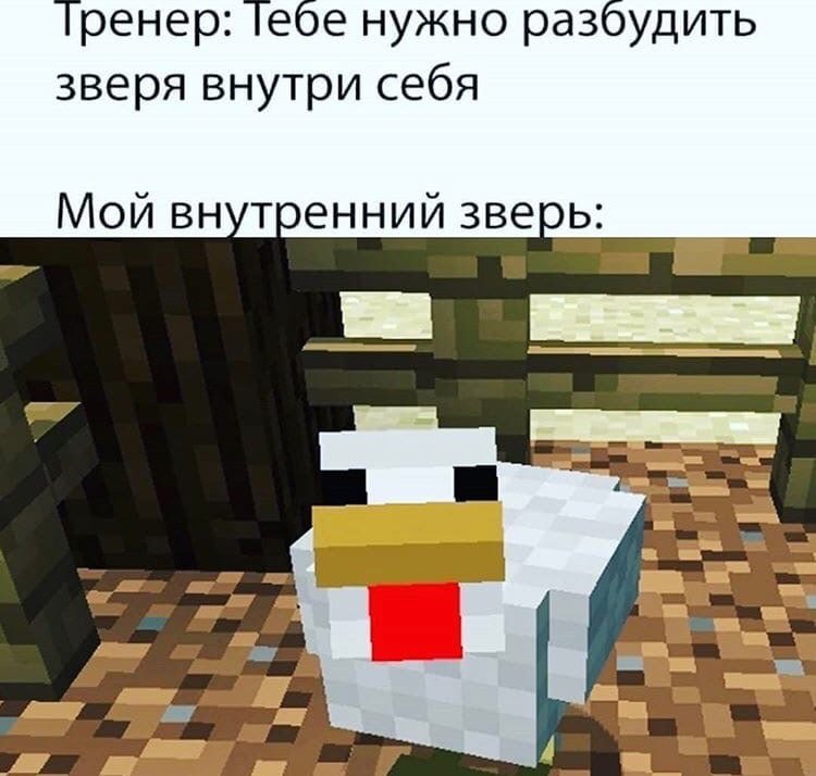 Майнкрафт мемы