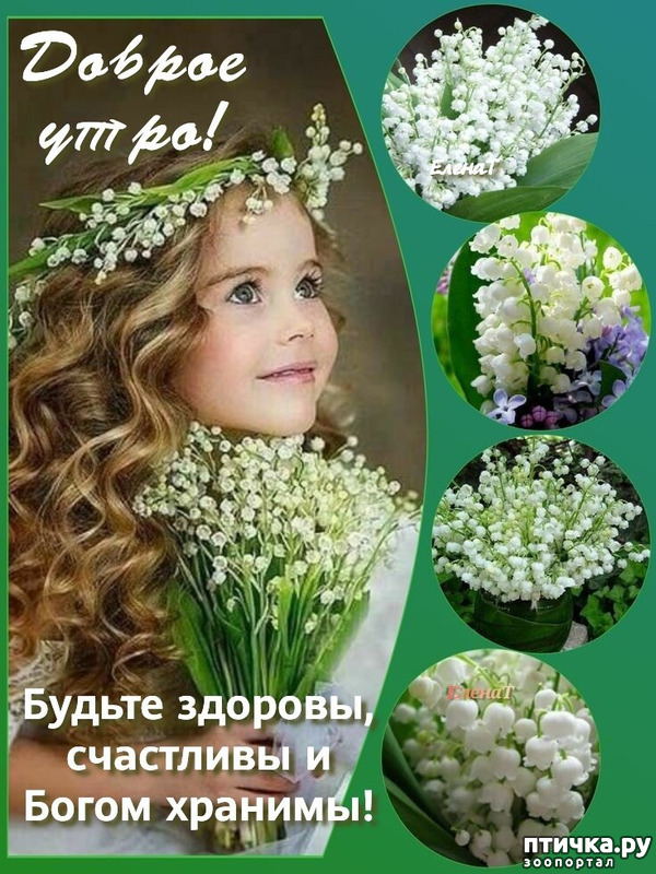 Храни Вас, Бог! Доброго утра! 🙏🌼🌼🌼🌼🌼