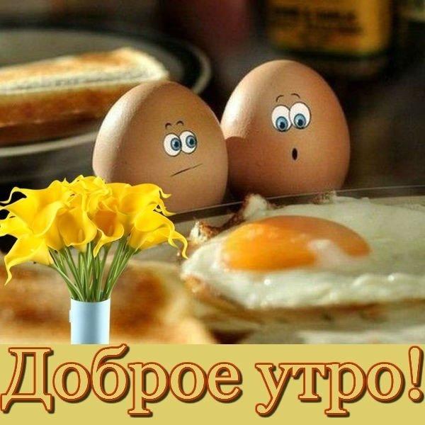 Сынок доброе утро