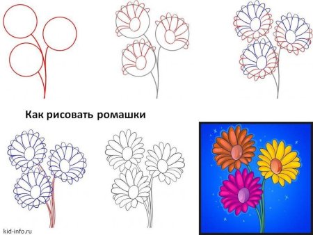 Уроки рисования цветов для начинающих | Учимся рисовать цветы