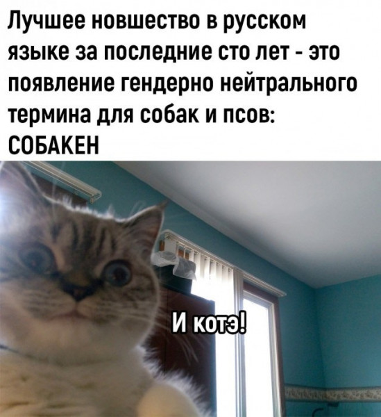 Мем на сто