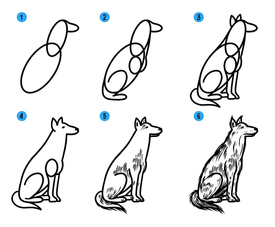Щенок овчарки рисунок поэтапно 