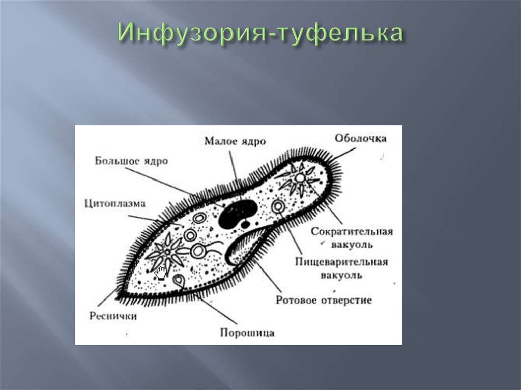 Подборка школьных обид состоявшегося золотого медалиста | Пикабу