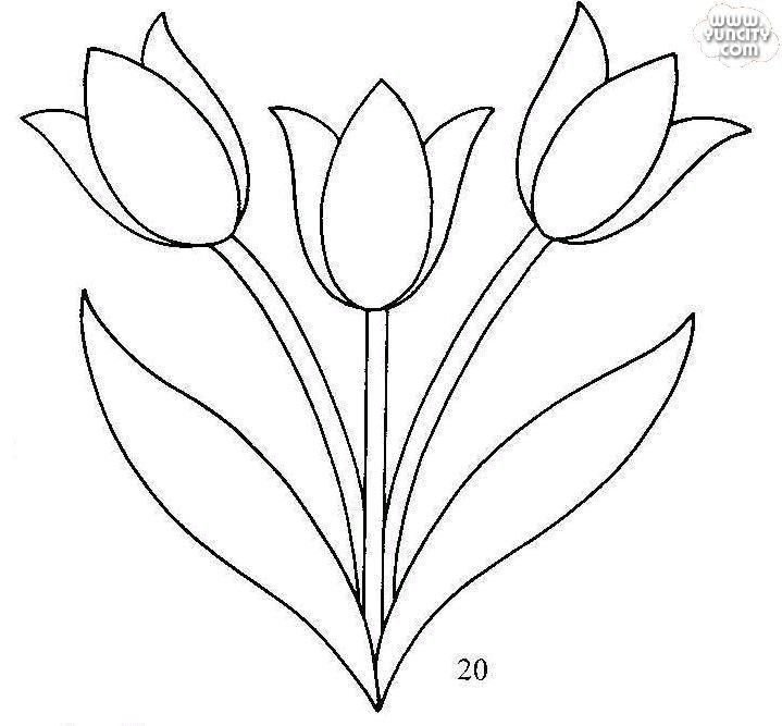 Трафареты цветок тюльпана из бумаги