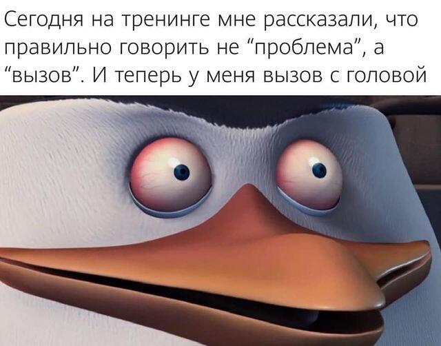 Создать мем 