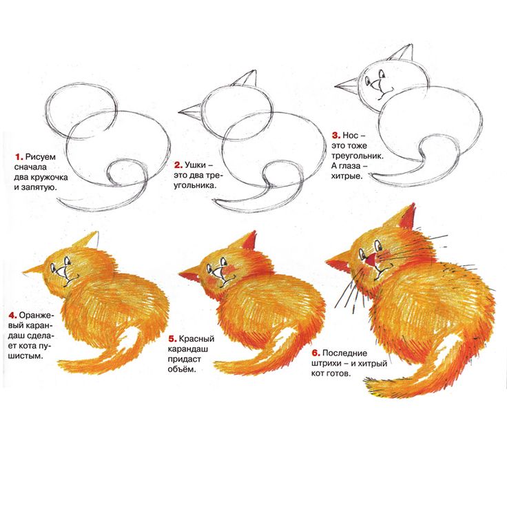 Кошка. Поэтапное рисование карандашом