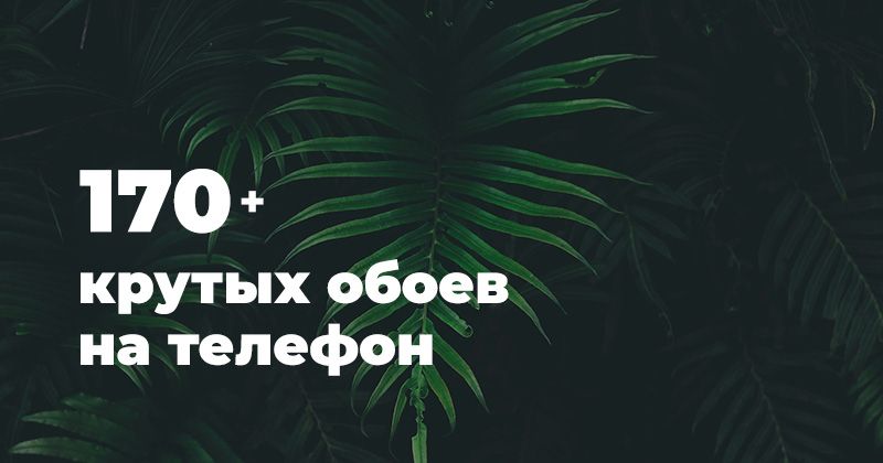 300 000+ обоев и картинок на телефон бесплатно