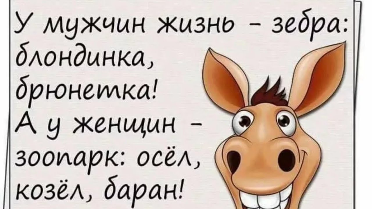 Юмор каждый день