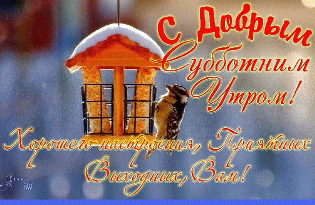 С субботним добрым утром!