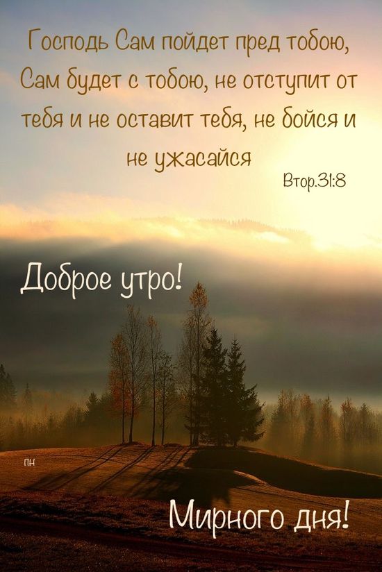 Храни Вас, Бог! Доброго утра! 🙏🌼🌼🌼🌼🌼