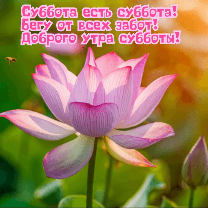 🌷Доброе утро! Сегодня 4 апреля, вторник