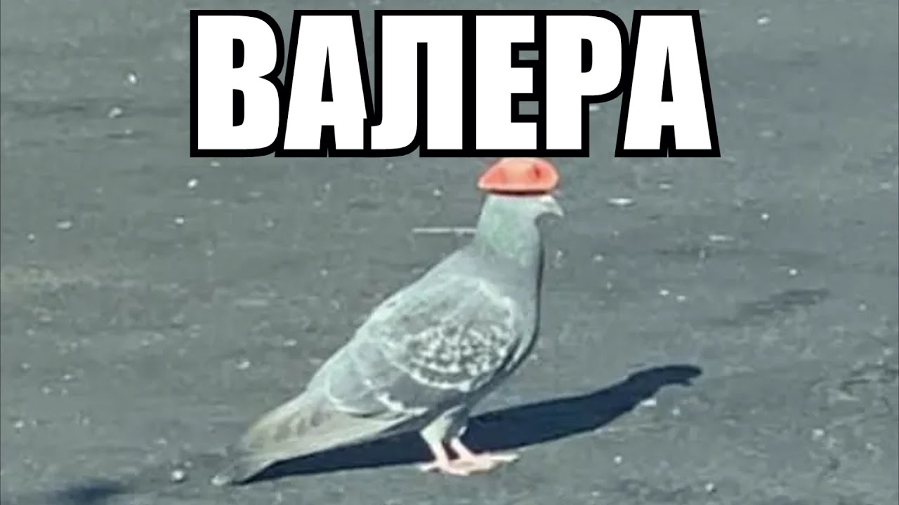 валера 