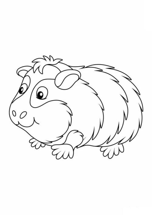 Морская свинка Wombat Книжка