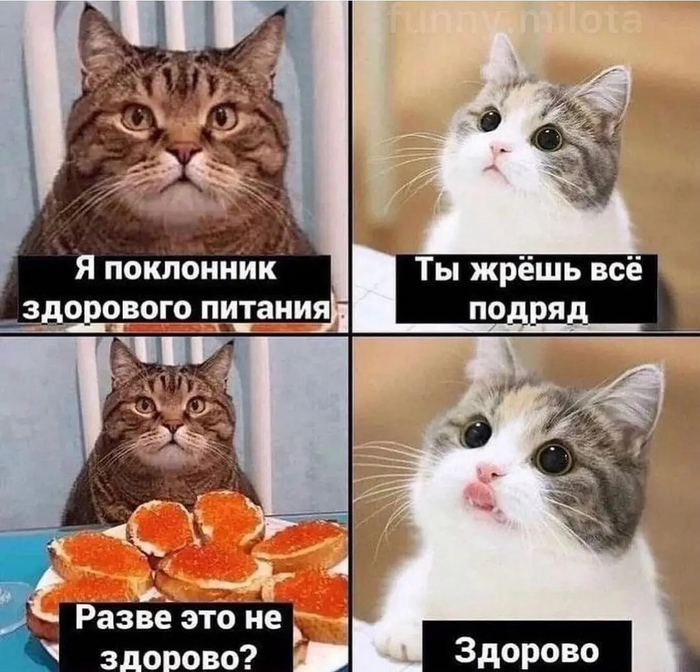 Мемы про еду 