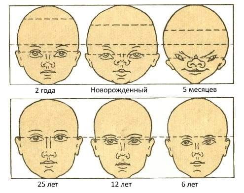 Уроки рисования для начинающих. Рисуем лицо человека: Мастер