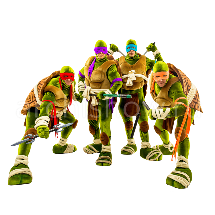 Teenage Mutant Ninja Turtles