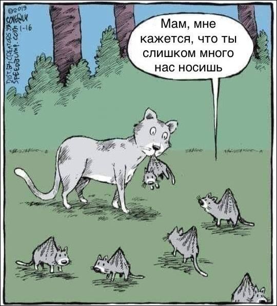 Карикатуры про секс 