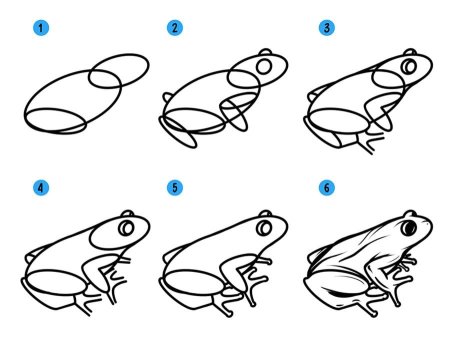 Лягушка рисунок для детей карандашом простой поэтапно для