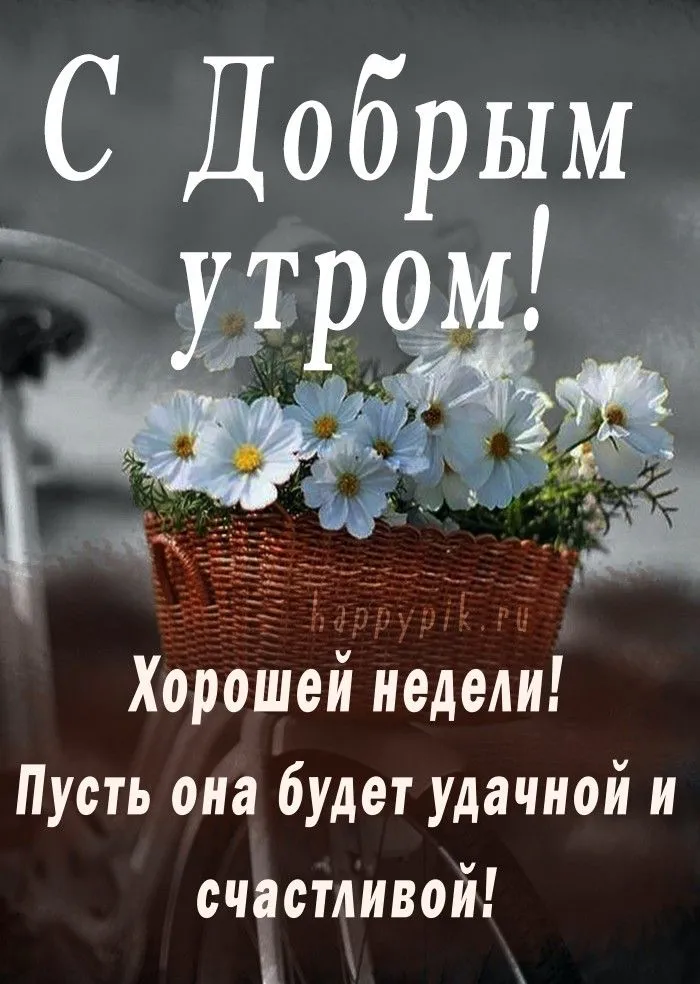 Доброе утро, среда! Открытки и пожелания в прозе для родных и