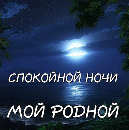 Каю. Спокойной ночи!