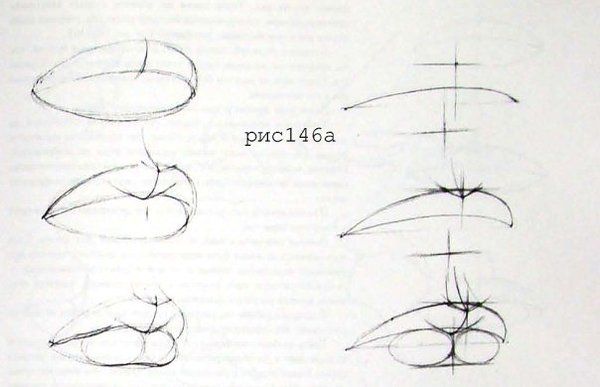 Как нарисовать рот человека карандашом поэтапно начинающим