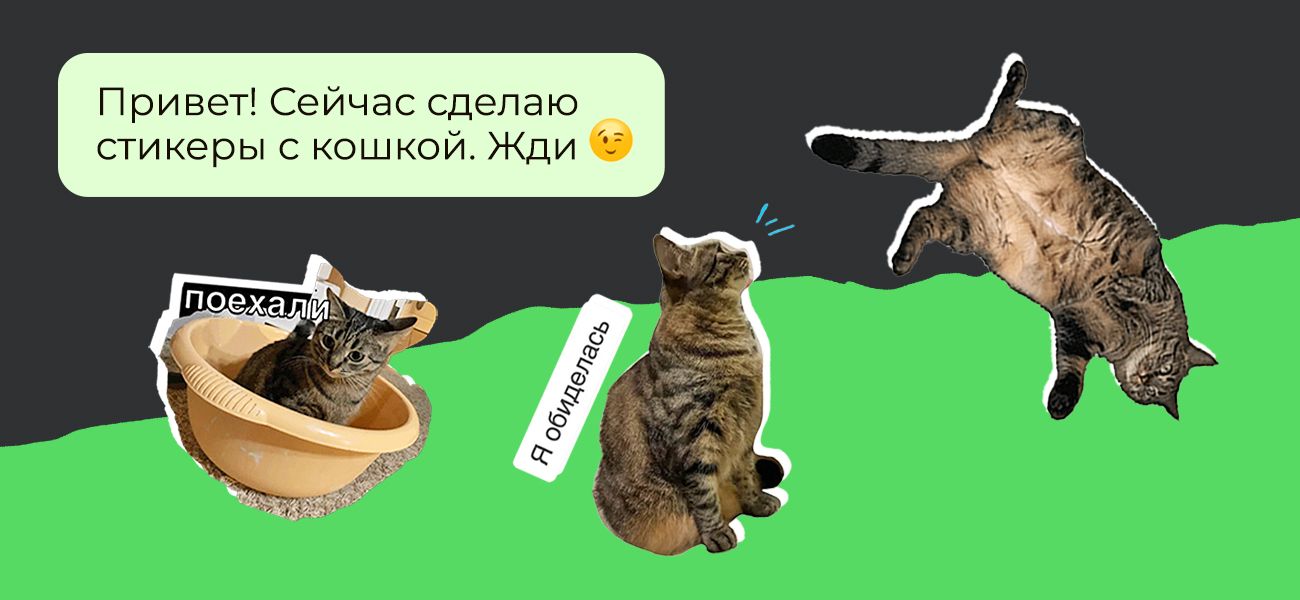 Фильтры для видеозвонков в Whatsapp