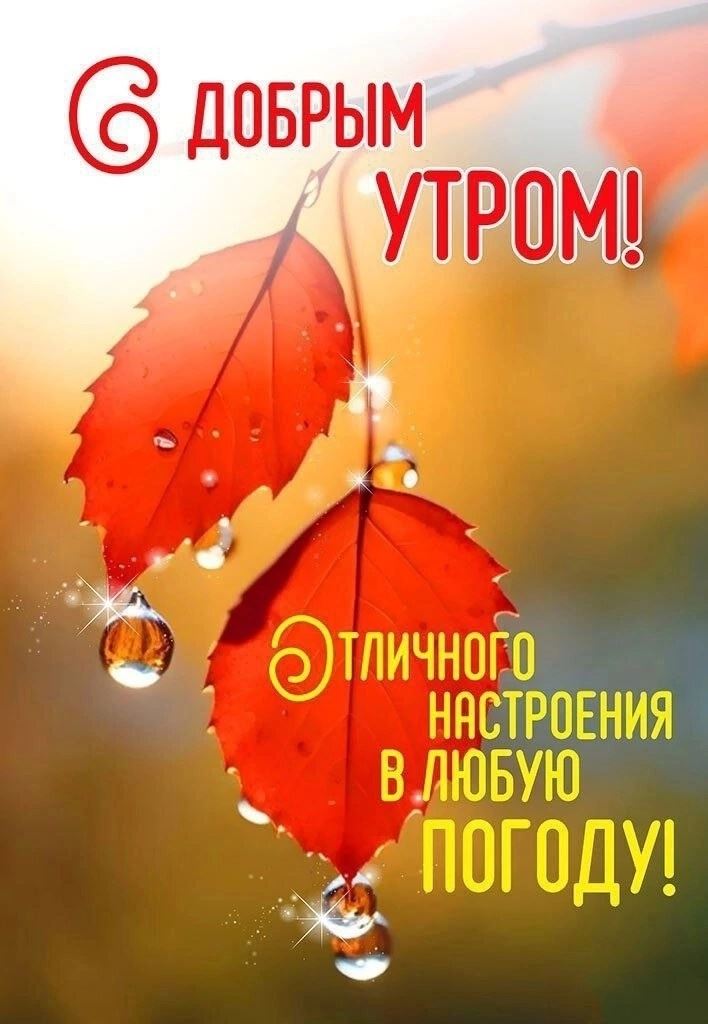 Хорошего настроения в любую погодуДоброе утро 😊💖