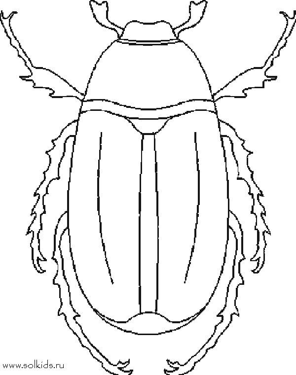 Как нарисовать майского жука цветными