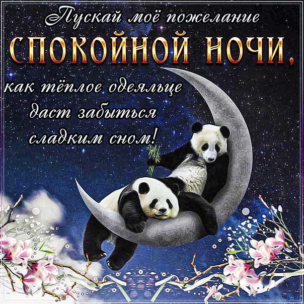 Открытка сладких снов, любовь моя, с