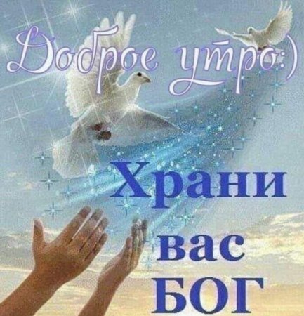 Храни Вас, Бог! Доброго утра! 🙏🌼🌼🌼🌼🌼