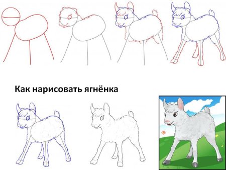 Как нарисовать волка поэтапно карандашом