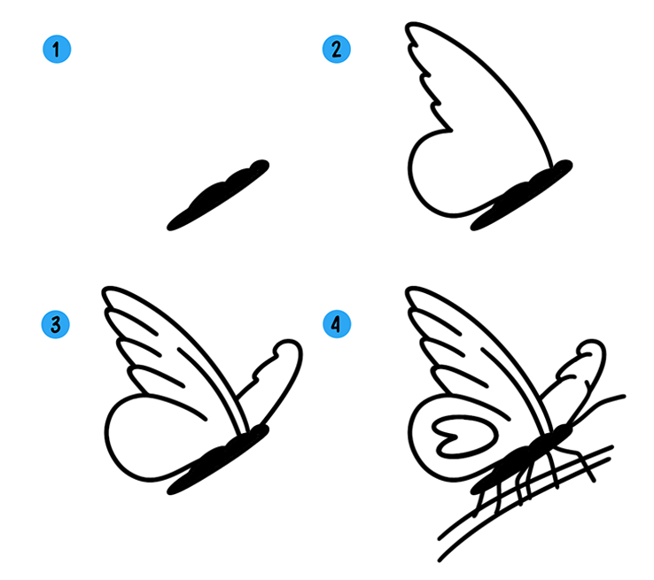Как нарисовать бабочку карандашом поэтапно :: SYL.ru