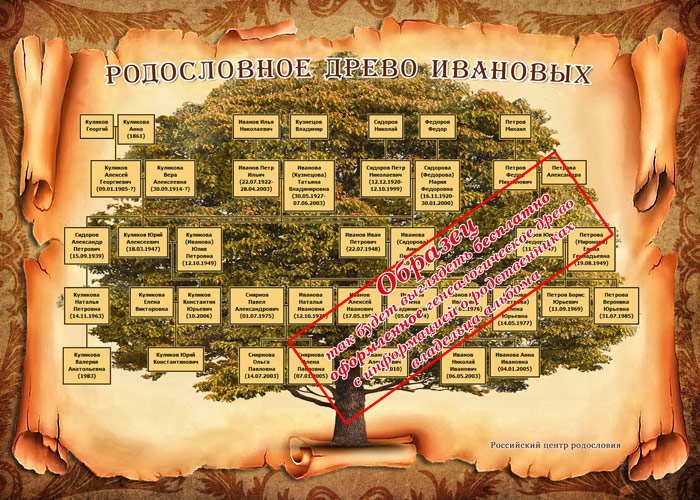 Раскраска Семейное древо распечатать бесплатно