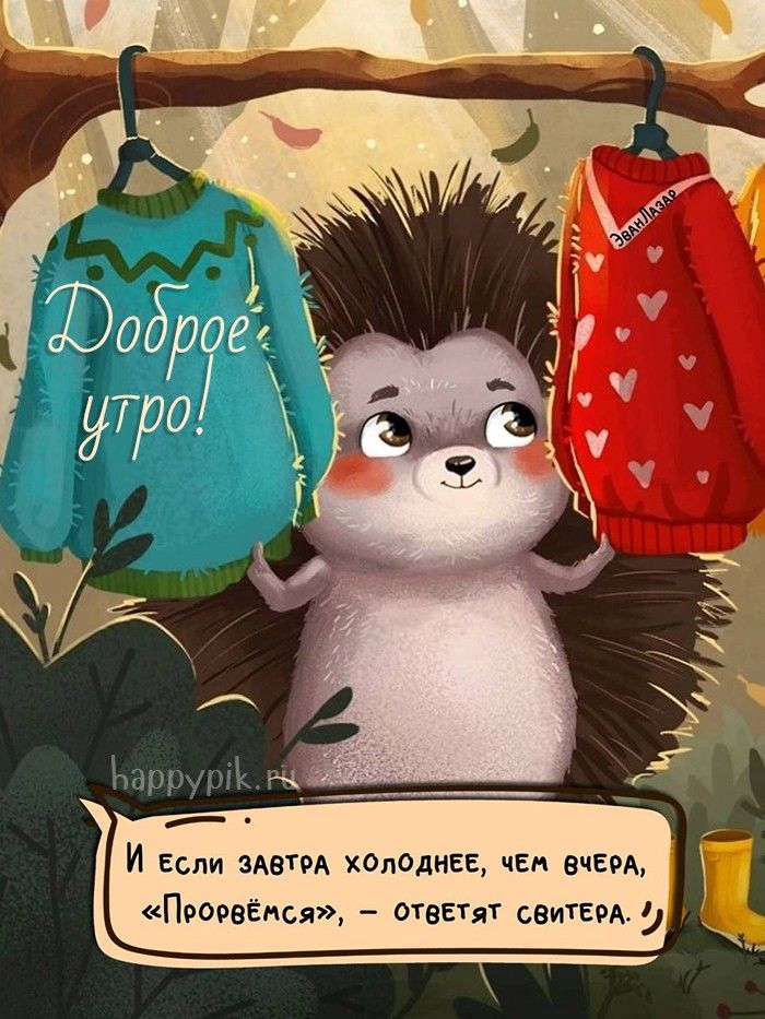 Доброе утро лисенок 