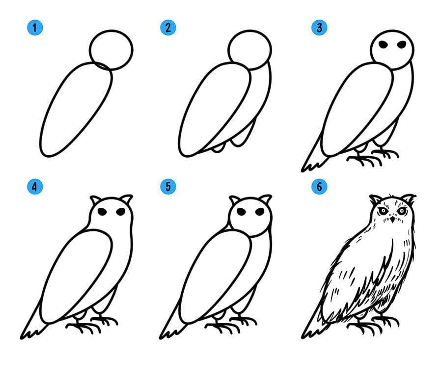 How to draw a