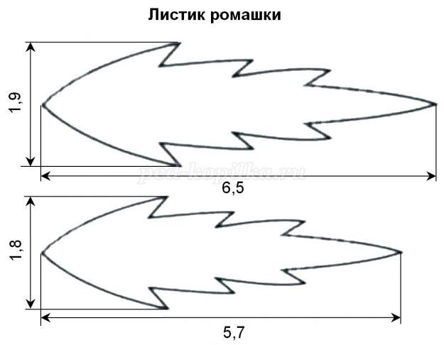 Трафареты листья цветов из бумаги