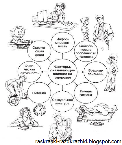 Картинки Здоровый образ жизни для детей картинки 