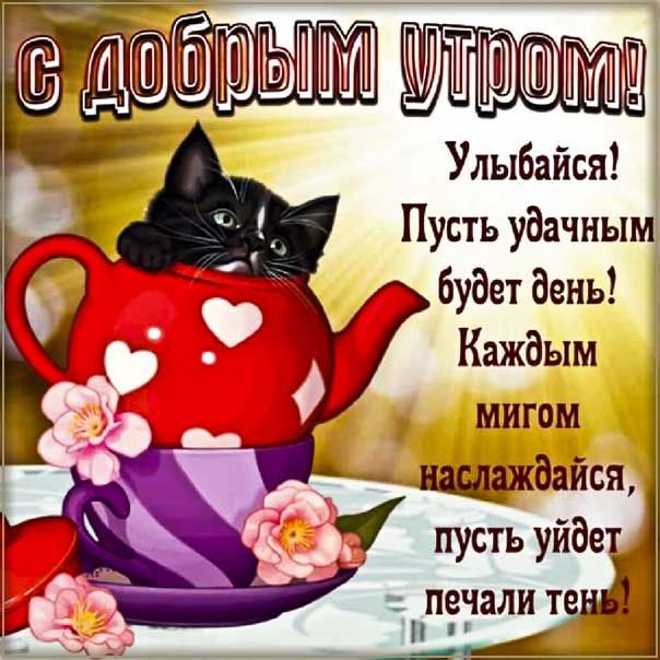 ☕️УТРЕННИЙ ЧАТ☕️ С добрым утром тебя, с новым днём! Пусть