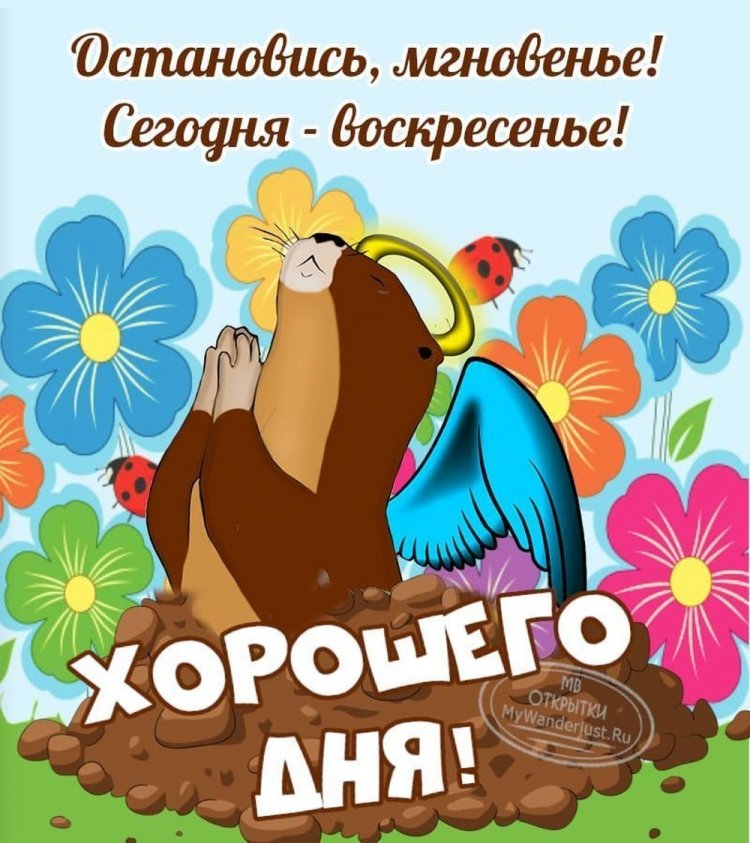 Открытки и картинки «Доброе утро воскресенья!»