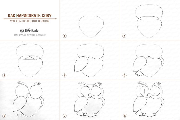 Сова на ветке рисунок поэтапно 