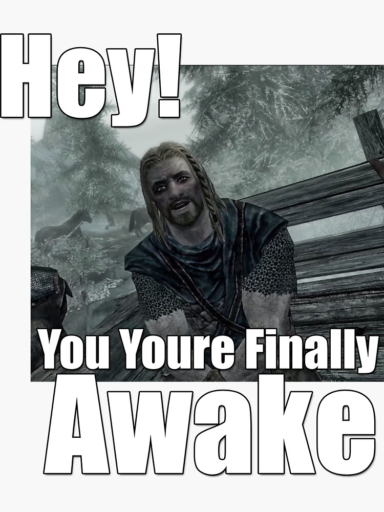 Skyrim Memes That Are Hilariously True