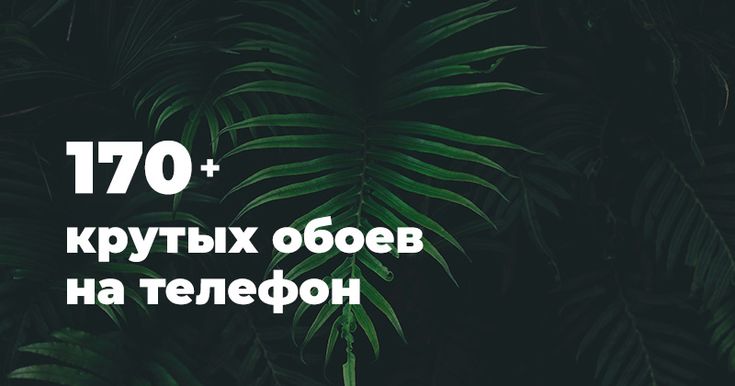 4К обои на телефон