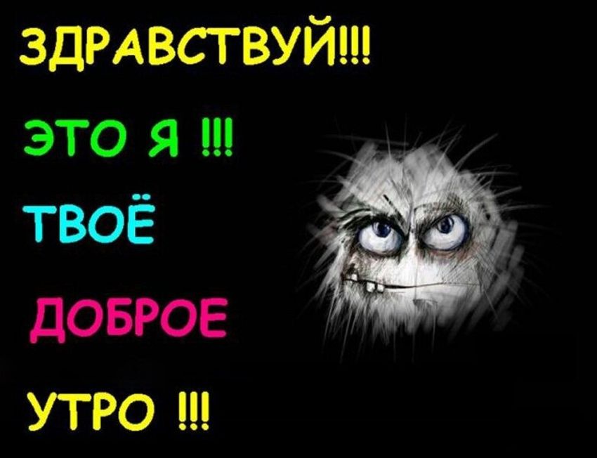 Смешные картинки Доброе утро весны прикольные