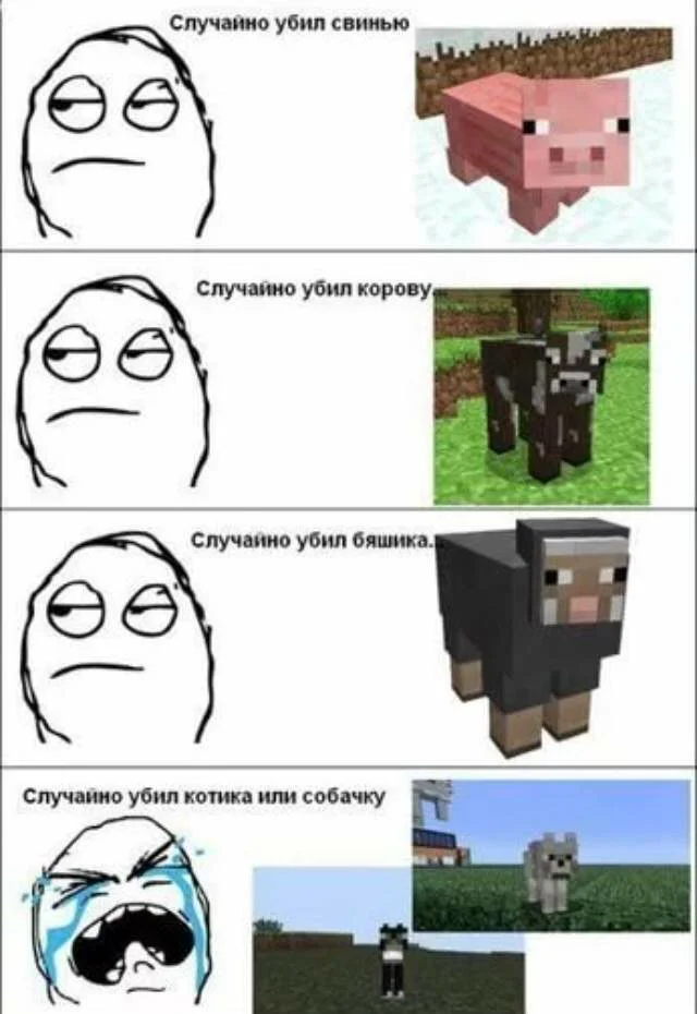 Minecraft Memes | It's always been there… • • Follow me