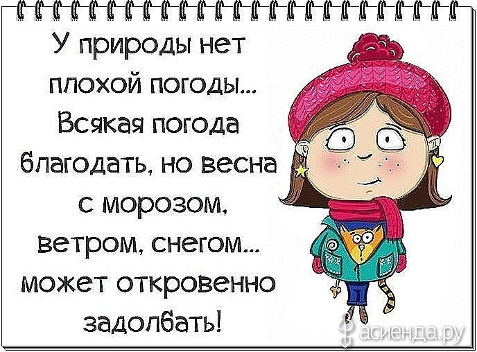 Самые прикольные картинки про весну и